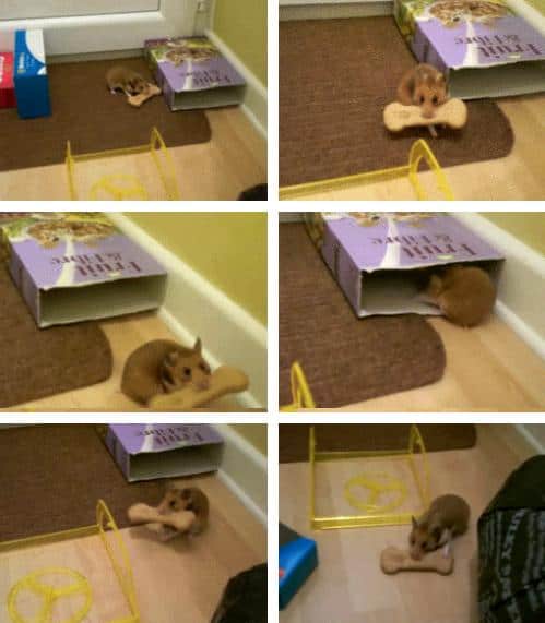 Funny Pic Dump (5)