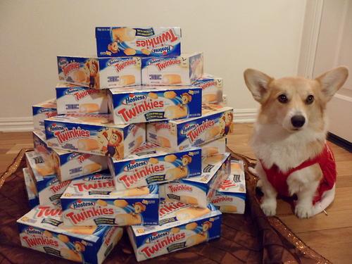 Funny Pic Dump (10)