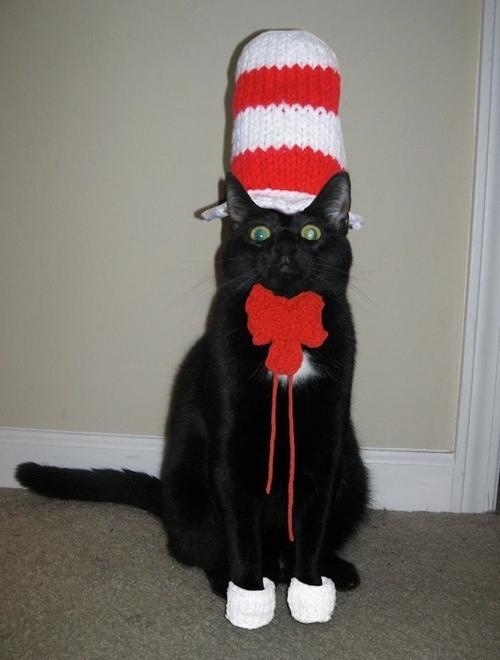 LOL Animals (7)