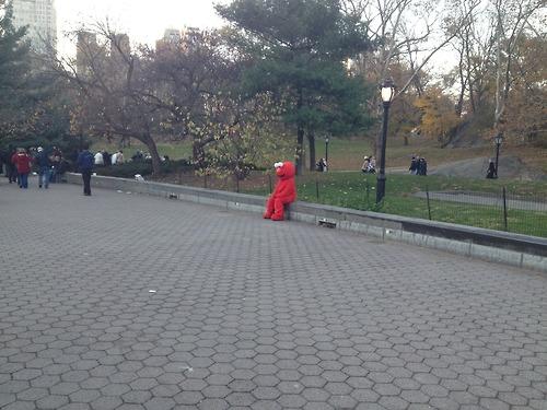 Funny Pic Dump (11)