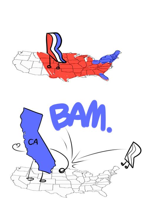 Election 2012 (8)