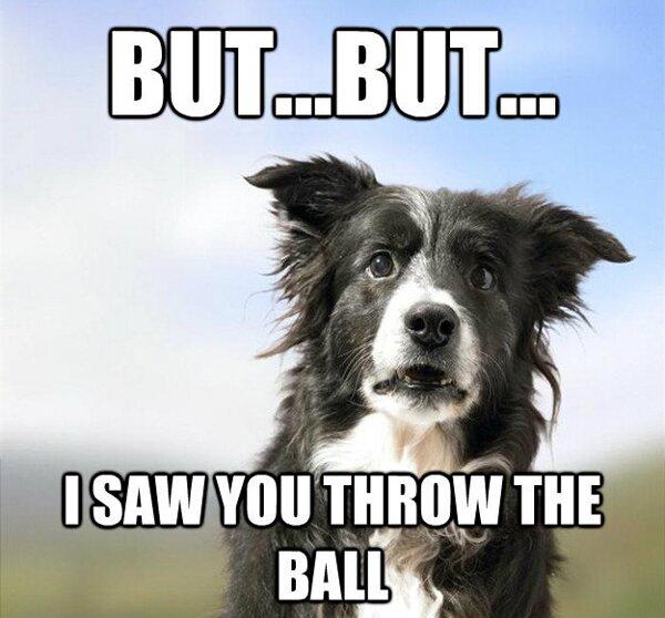 Funny Pic Dump (10)