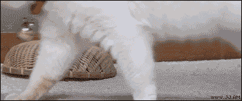 Awesome Animated GIFs (7)