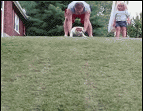 LOL Animals (1)