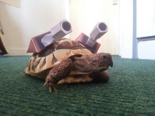 Funny Pic Dump (9)