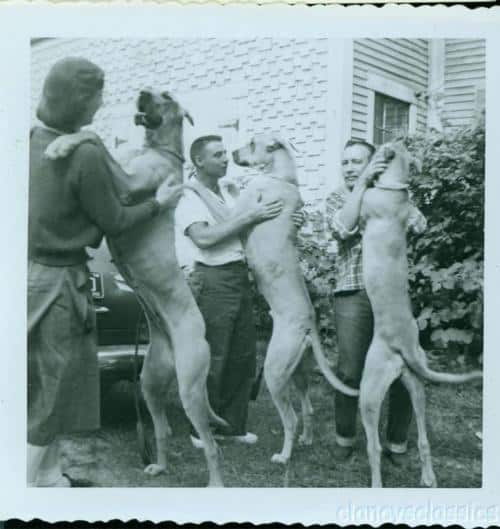 WTF Vintage Pics (10)