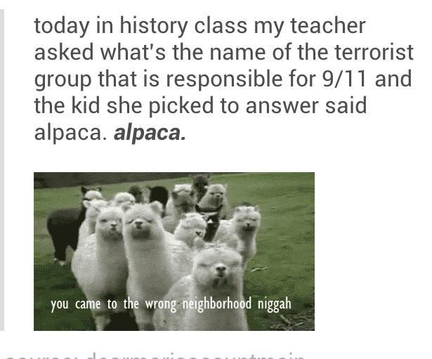 Funny Pic Dump (17)