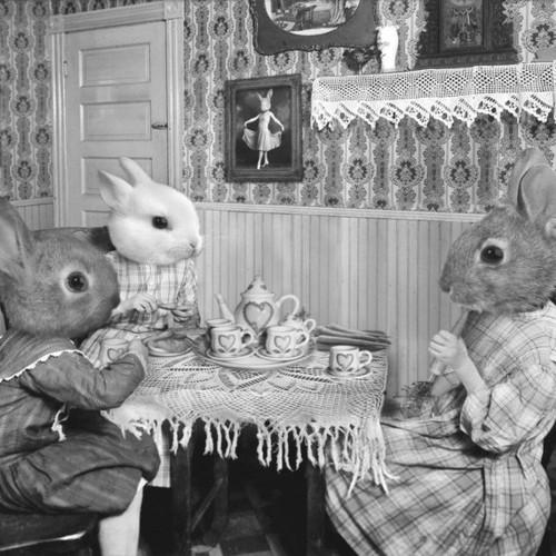 WTF Vintage Pics (11)