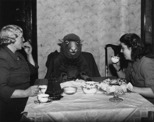 WTF Vintage Pics (12)