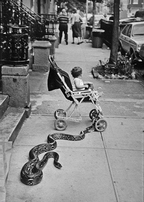 WTF Vintage Pics (21)