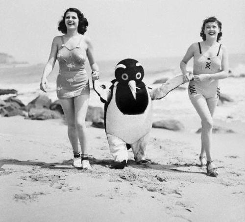 WTF Vintage Pics (30)