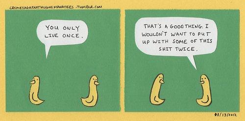 Funny Pic Dump (19)