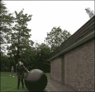 Awesome Animated GIFs (18)