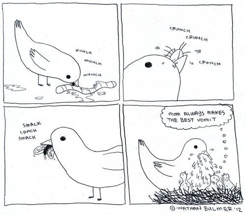 Funny Pic Dump (16)