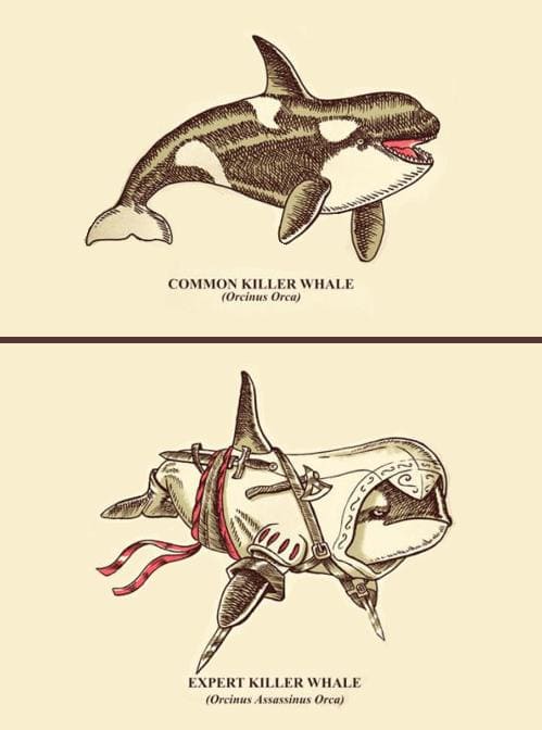 Funny Pic Dump (2)