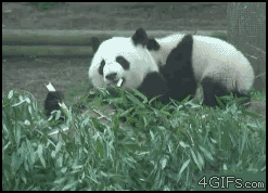 when someone bothers you while youre trying to eat