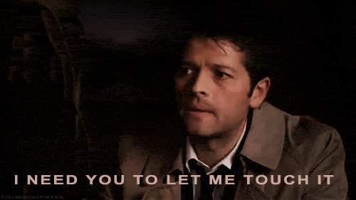 when you encounter someone with a puppy or kitten