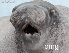 when you realize how much work you have to catch up on