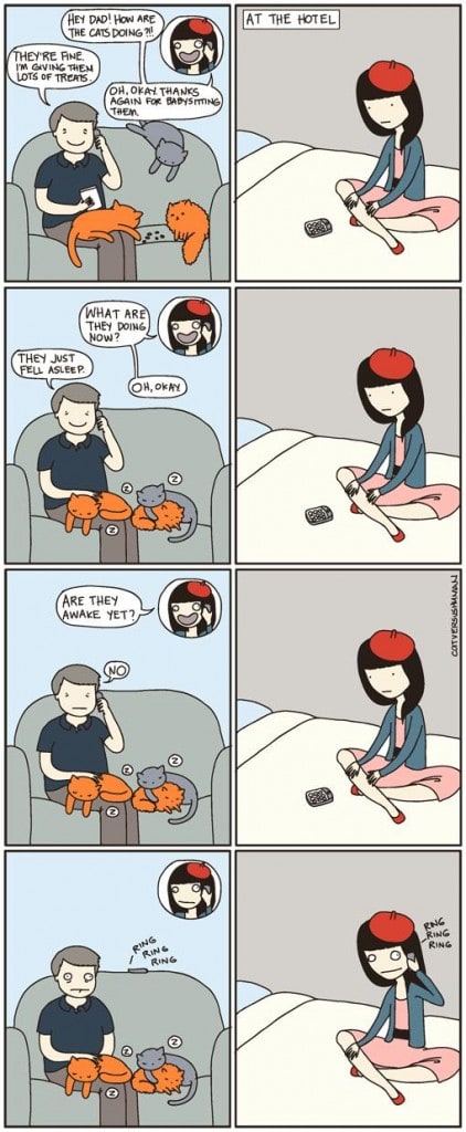 21 cat vs human