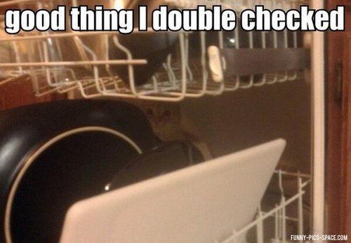 Funny Pic Dump (2)