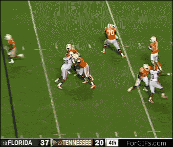 31.gif