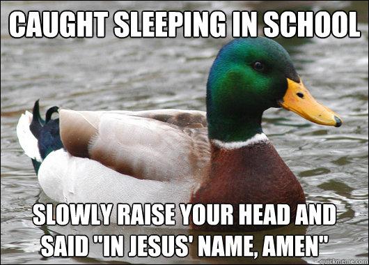 Actual Advice Mallard (14)