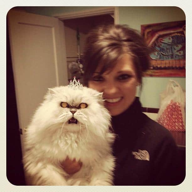 LOL Animals (4)