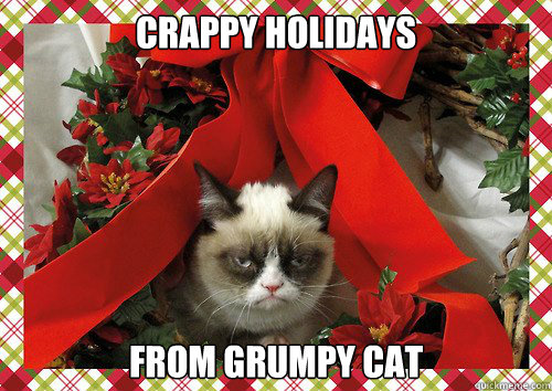 A Grumpy Cat Christmas (14)
