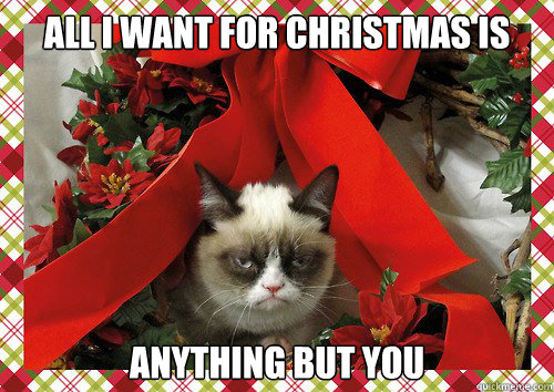 A Grumpy Cat Christmas (13)