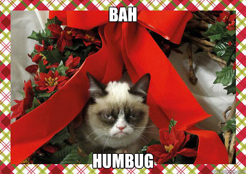 A Grumpy Cat Christmas (12)