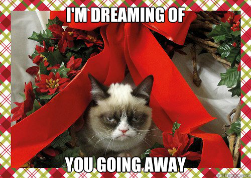 A Grumpy Cat Christmas (10)