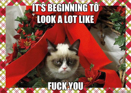 A Grumpy Cat Christmas (9)