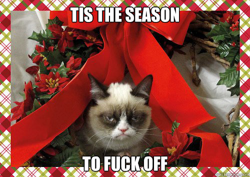 A Grumpy Cat Christmas (8)