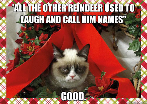 A Grumpy Cat Christmas (7)