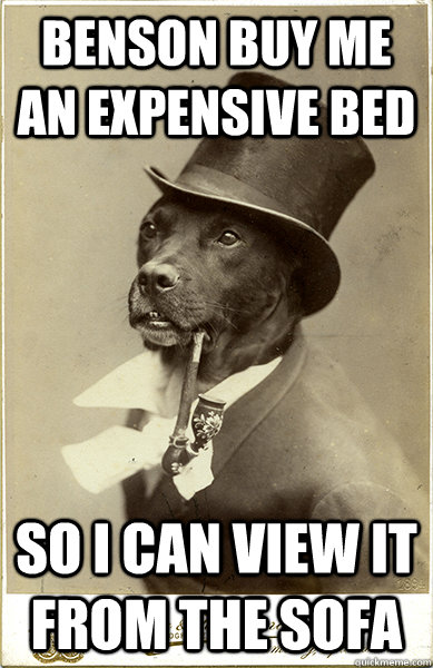 Best of the Old Money Dog Meme (16 Pics)