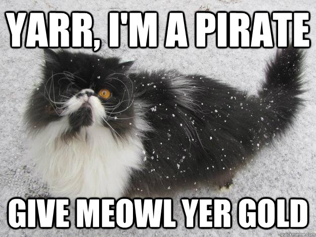The Pirate Cat Meme (11)