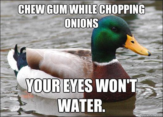 Actual Advice Mallard (7)