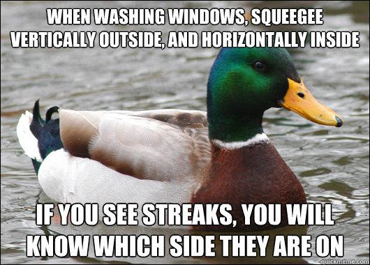 Actual Advice Mallard (11)