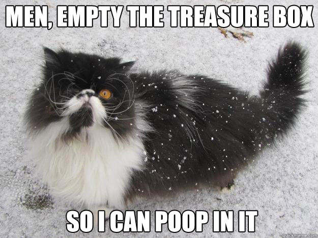 The Pirate Cat Meme (1)