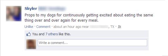 Funny Pic Dump (5)