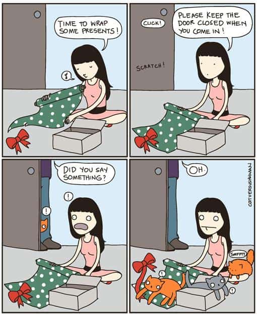Funny Pic Dump (7)