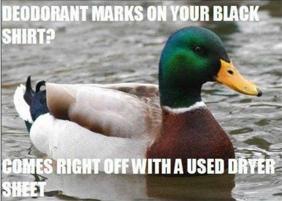 Actual Advice Mallard (18)