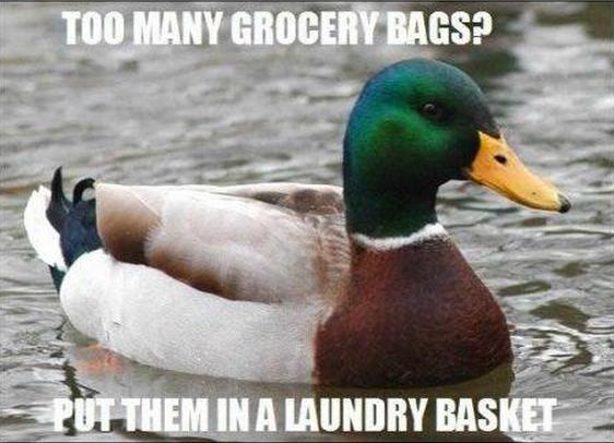 Actual Advice Mallard (19)