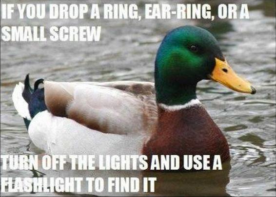 Actual Advice Mallard (20)