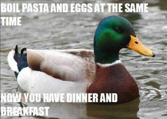 Actual Advice Mallard (21)
