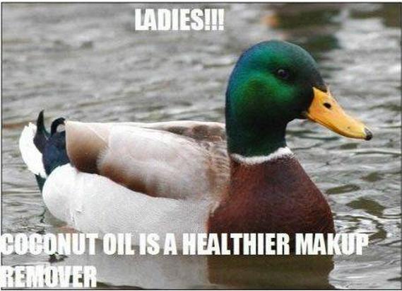 Actual Advice Mallard (22)