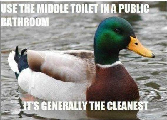 Actual Advice Mallard (23)