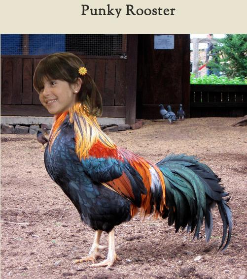 Celebirding (9)