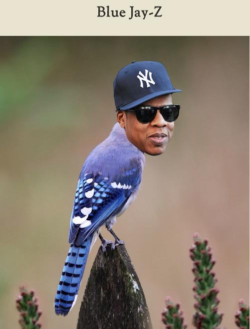 Celebirding (12)