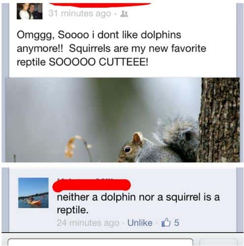 Funny Pic Dump (17)